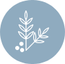 leaf icon